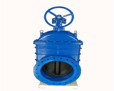 �������l�y�ĽY���Լ�����